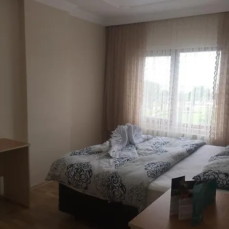 Travel In Apartment *